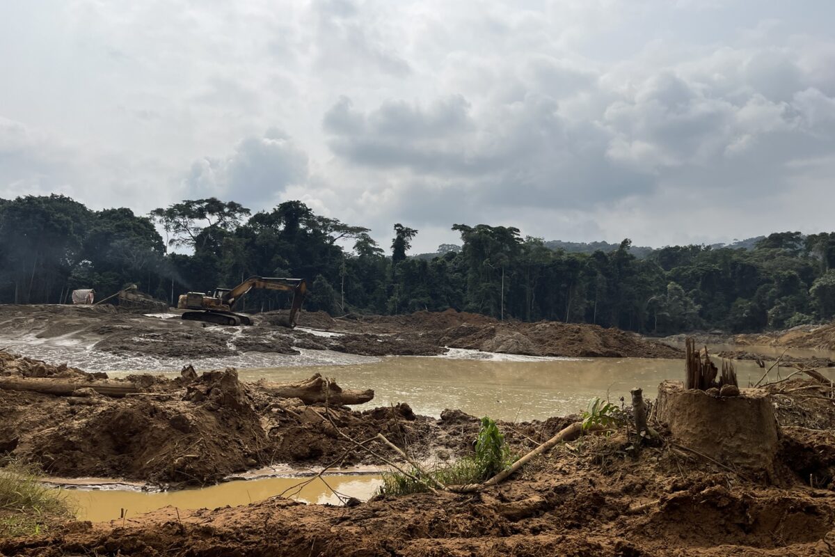 Republic of Congo&rsquo;s gold mining boom undermines conservation efforts